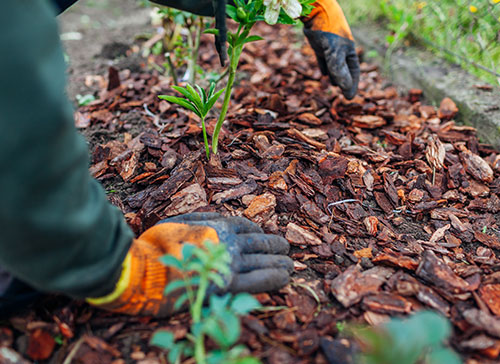 Garrett Hill Landscaping Services PA 19010 Landscape Installation Garrett Hill Pennsylvania 19010 Garrett Hill Landscapers 19010 01